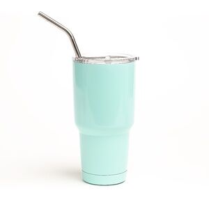 Mint Stainless Steel Tumbler Cup 30 oz with Straw